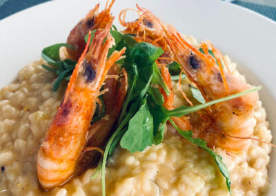 A plate of risotto with four large grilled shrimp on top.