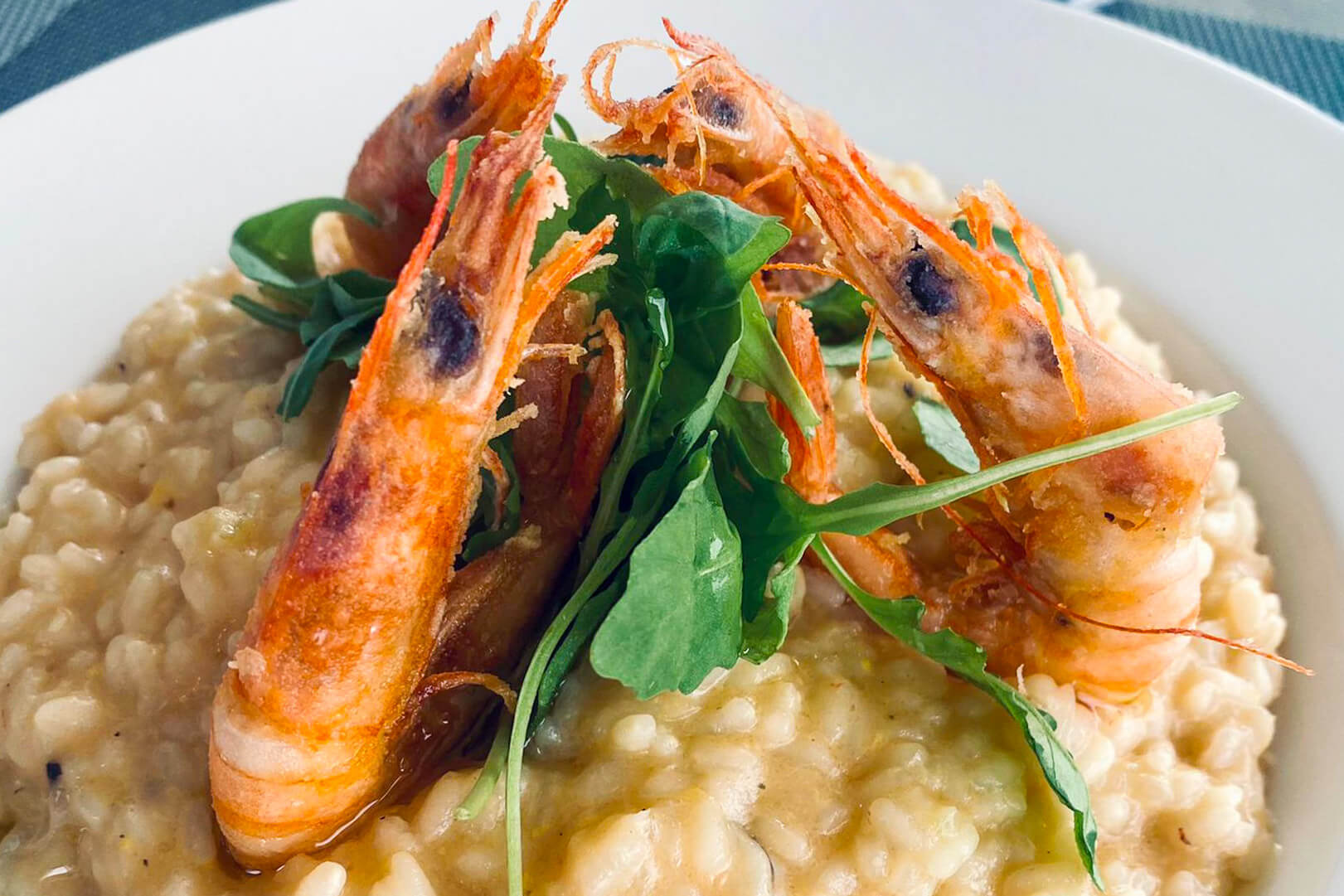 A plate of risotto with four large grilled shrimp on top.